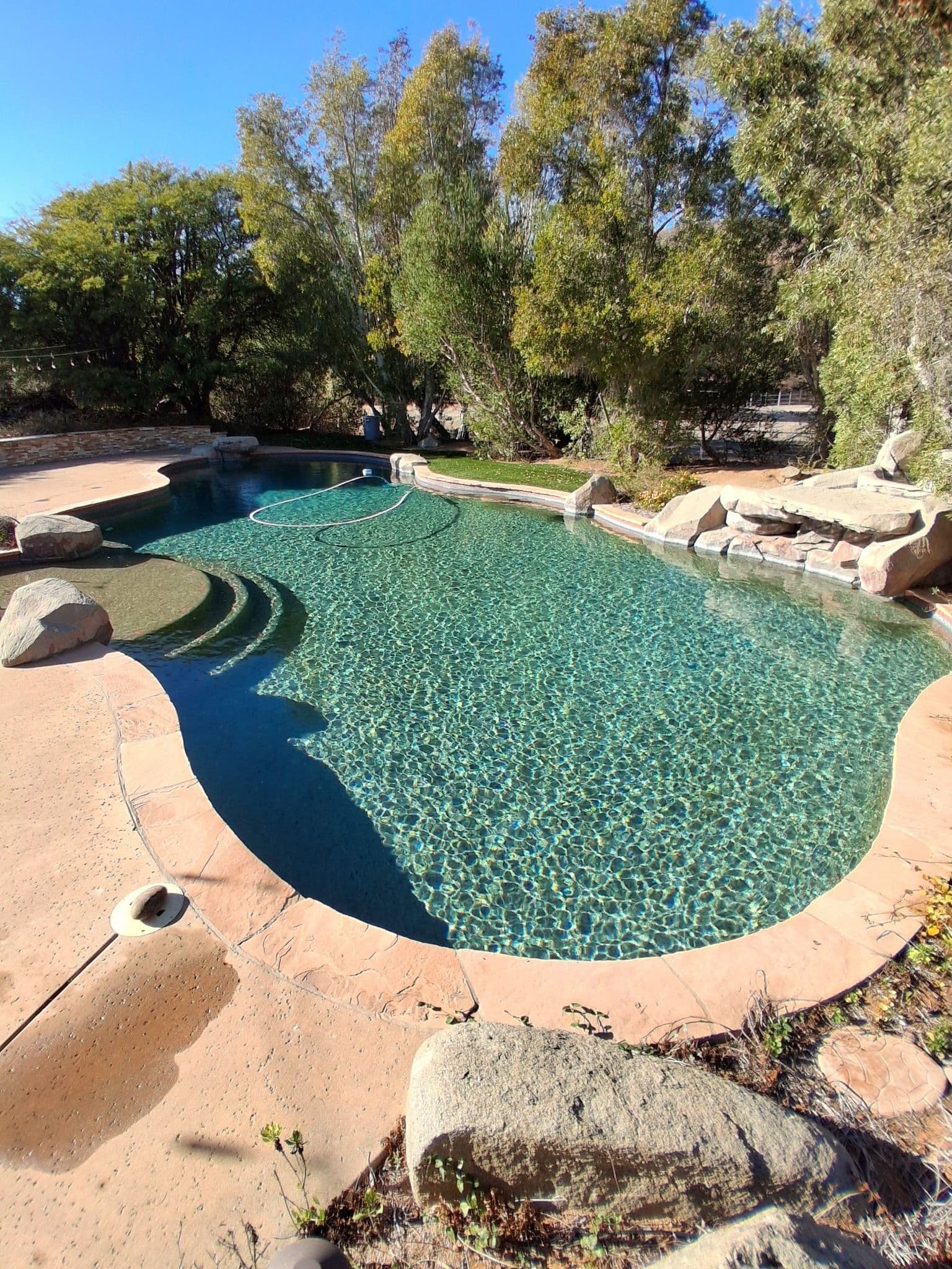 Serene outdoor swimming pool surrounded by lush trees and natural rock features.