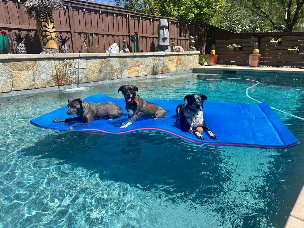 About San Diego Pool Solutions